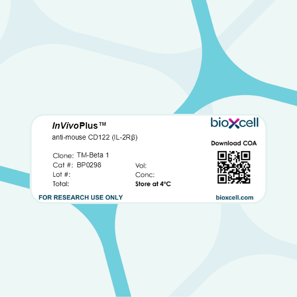 InVivoPlus anti-mouse CD122 (IL-2Rbeta), Clone: [TM-Beta 1], Rat, Monoclonal