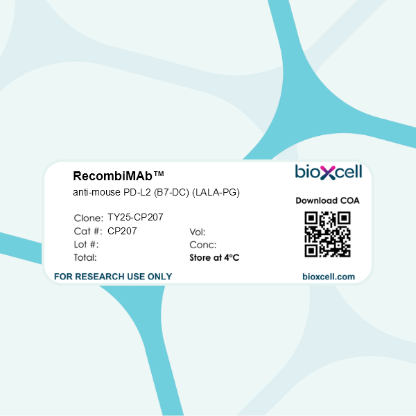 RecombiMAb anti-mouse PD-L2 (B7-DC) (LALA-PG), Clone: [TY25-CP207], Mouse, Monoclonal