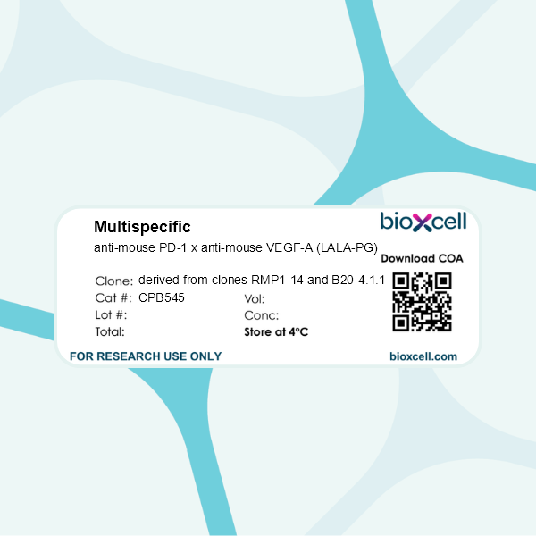 Bispecific anti-mouse PD-1 x anti-mouse VEGF-A (LALA-PG), Clone: [derived from clones RMP1-14 and B20-4.1.1], Mouse, Monoclonal