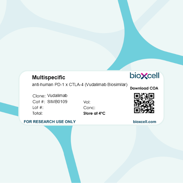 InVivoSIM anti-human PD-1 x CTLA-4 (Vudalimab Biosimilar), Clone: [Vudalimab], Human, Monoclonal