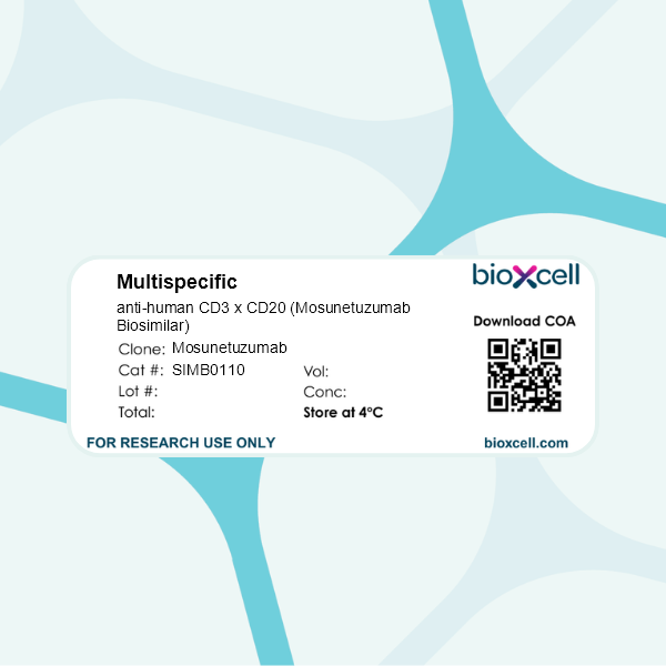 InVivoSIM anti-human CD3 x CD20 (Mosunetuzumab Biosimilar), Clone: [Mosunetuzumab], Human, Monoclonal