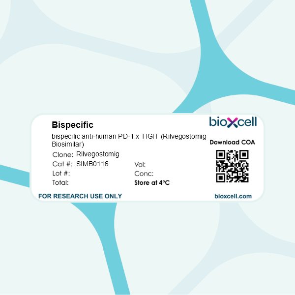 InVivoSIM bispecific anti-human PD-1 x TIGIT (Rilvegostomig Biosimilar), Clone: [Rilvegostomig], Human, Monoclonal